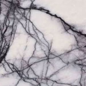 Meet your Posher, Lulu